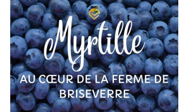 Myrtille des Vosges : découvrez les produits de la Ferme de Briseverre